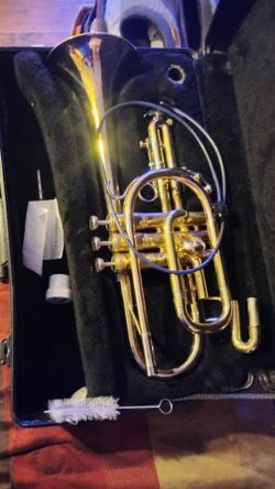 Nice gold trumpet read the ad $249