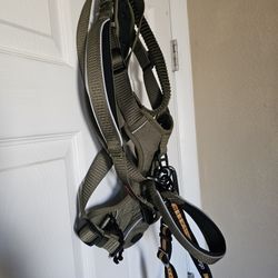 Kong Harness And Leash 