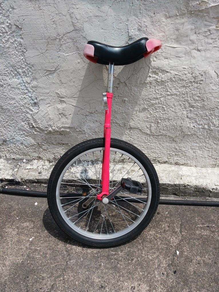 Mono Wheel Bike