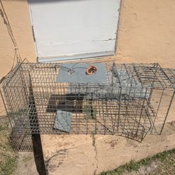 Animal Trap/Cage