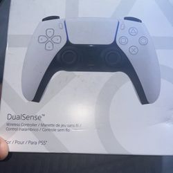 White Ps5 Controller 
