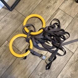 Olympic Rings / Trx Trainer