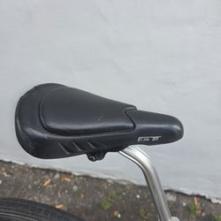 1999 GT Pro Performer midnight grape