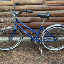 Schwinn Cruiser