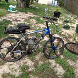 Motorized Trek Bicycle 