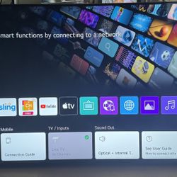 LG 65" Smart TV