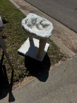 Cat  bed