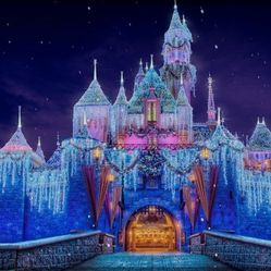 4 Disney 2Day Park Hopper Tickets 