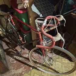 Raleigh Bike