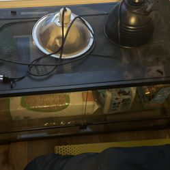 40 Gallon Tank