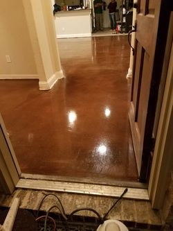 Stain / Epoxy/ polish /