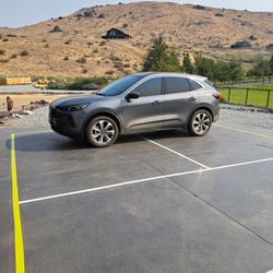 2025 Ford Escape Platinum Hybrid