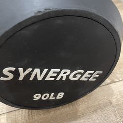 90 Lb. Fixed Curl Bar NEW 
