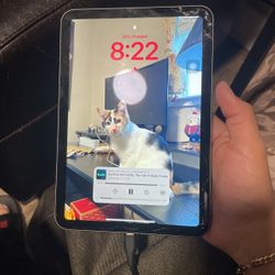 Ipad mini gen6 (Broken screen but perfectly fine)
