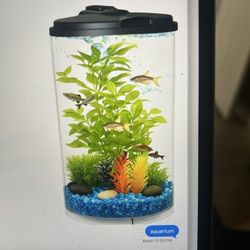 Aquarium- 3 Gallon