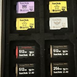 Nintendo Switch Micro SD Cards