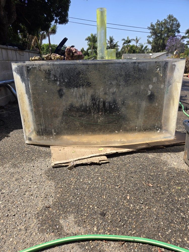 Fish Tank