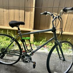 Adult bicycle
