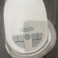 Graco Baby Swing 