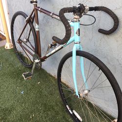 Bike 700 Fixie 55 Cm