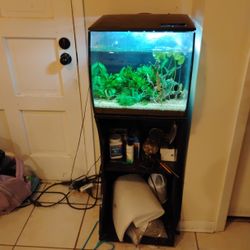 15 Gallon Fluval Flex