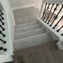 Vinyl And Laminate Floor