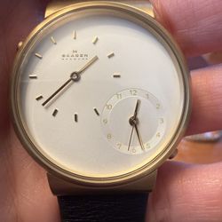 Skagen Wrist Watch 