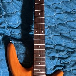 Stuart Spector Design Neck Through Bass Project 