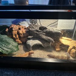Aquarium For Sale 
