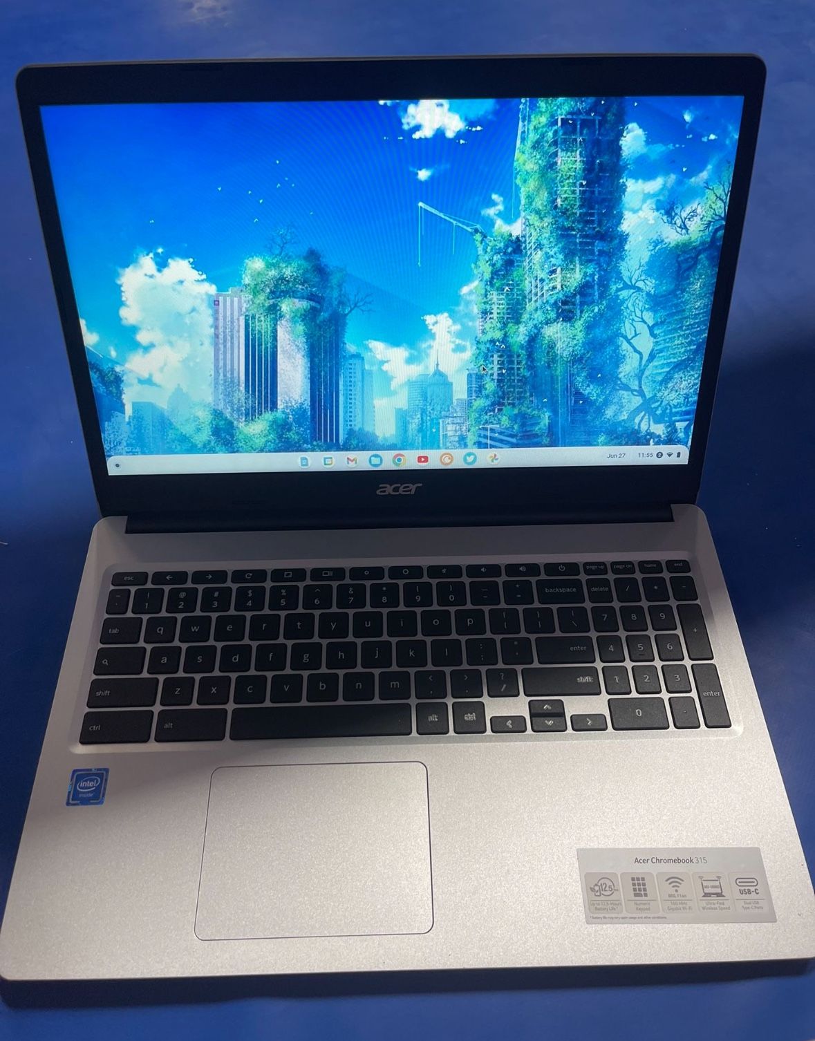 Acer Chromebook 315