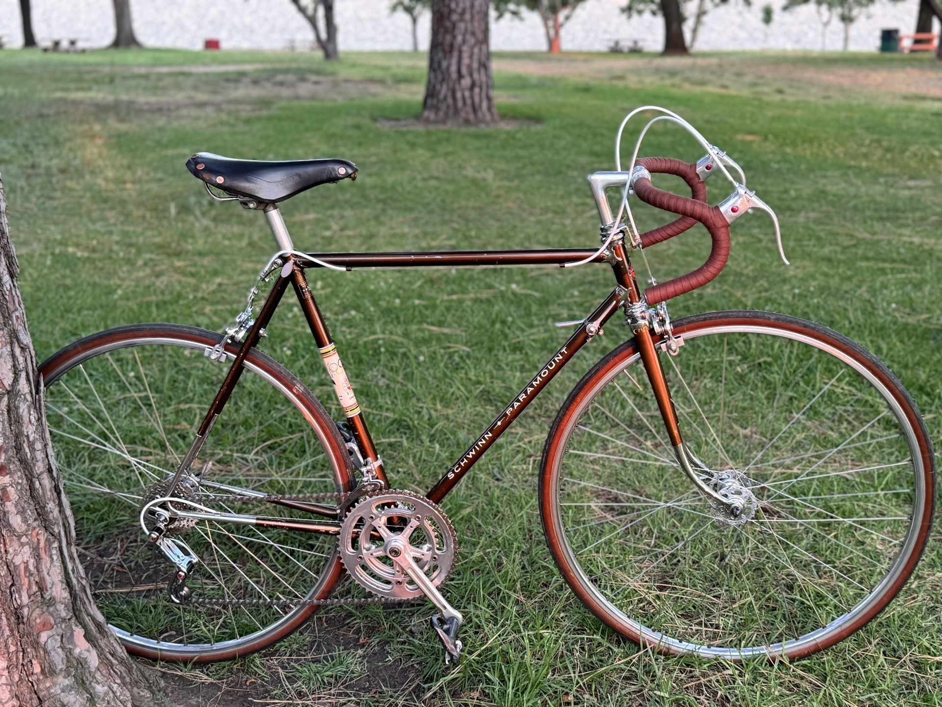 1972 Schwinn Paramount P-15 Size 22”