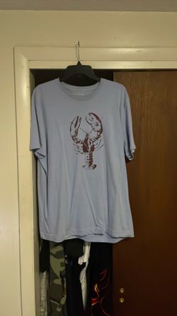 Light blue Banana Republic t shirt