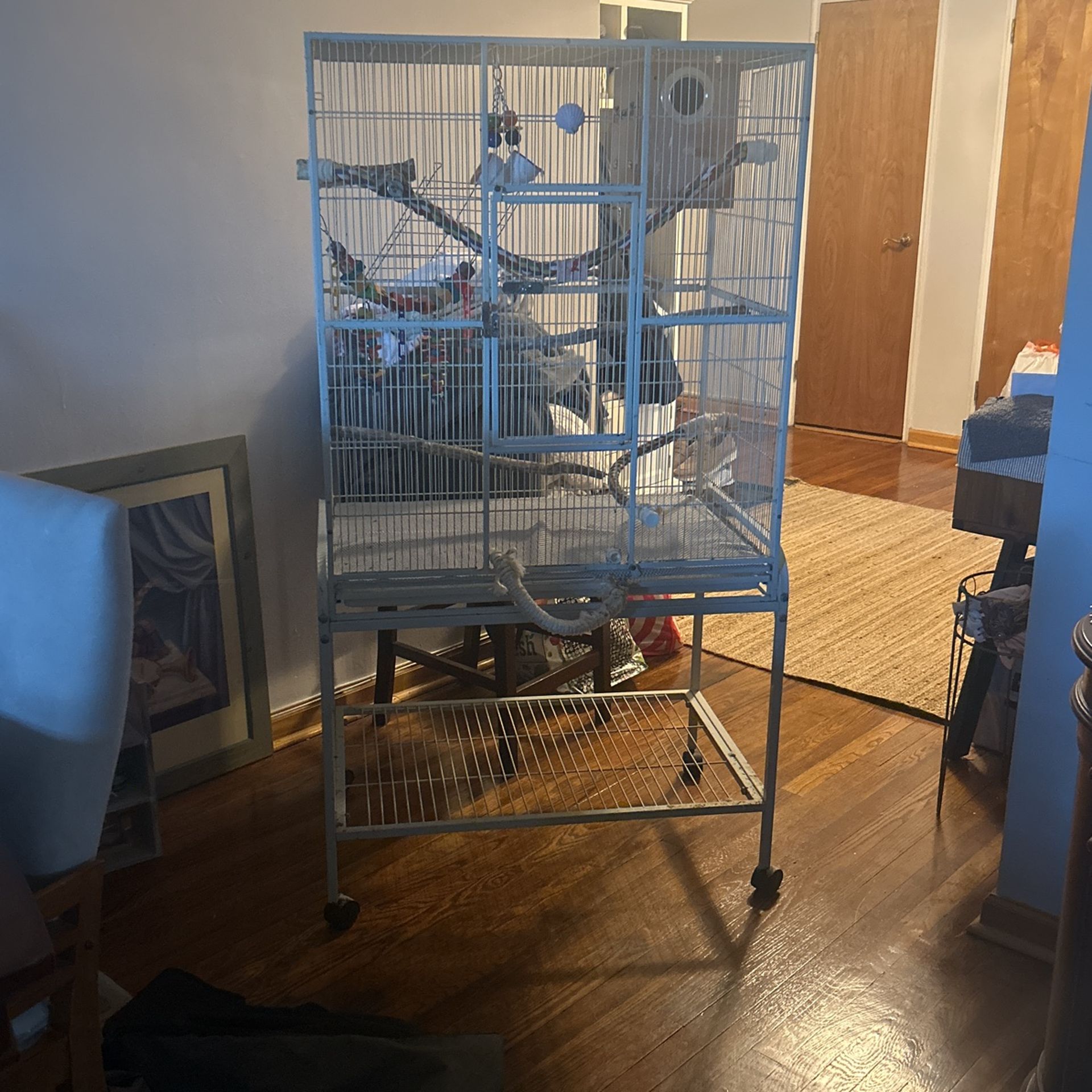 Bird Cage 