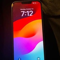 Neat iPhone 13 Pro Max Up For Sale 