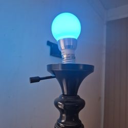 Color Changing Floor Lamp