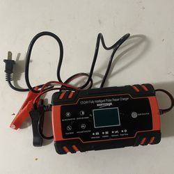 12 V- 24 V Fully Intelligent Pulse Repair Charger.