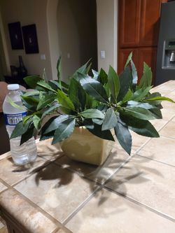 Artifical Plant With Ceramic Vase