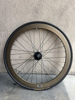 B43 Velocity 26 Inch