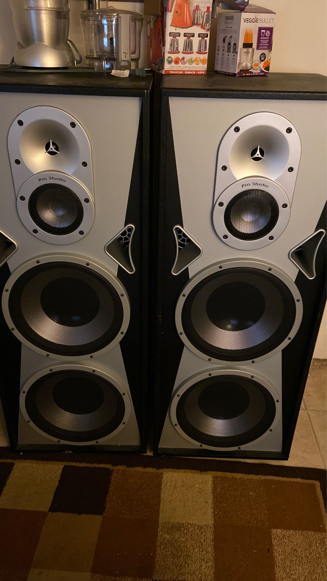 Speakers Pro studio new 12 inch speakers