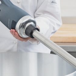 NSF Commercial Immersion Blender 350w+200mm