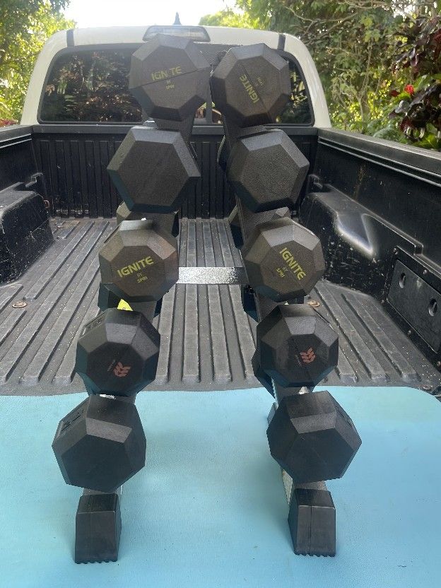 RUBBER SET OF DUMBBELLS (PAIRS OF) : 8s 10s 12s 15s 20s + SPACE SAVING PYRAMID RACK