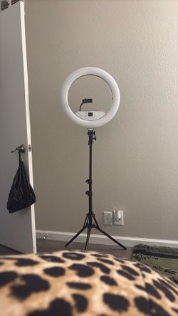 CONTENT CREATOR LIGHT