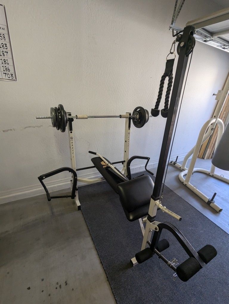 Weight Bench & Heavy Bag W Stand