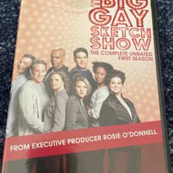 The big Gay sketch show season one
