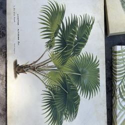 Arizona/succulent wall art