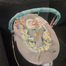 Baby Bouncer
