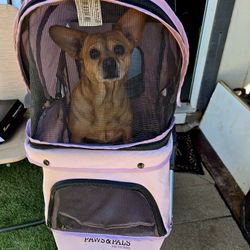 Dog Stroller/ Carreta Pa 🐕 Perros