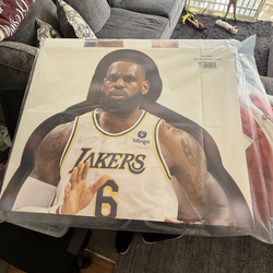 Full Size Labron James Poster Board (Make An Offer)