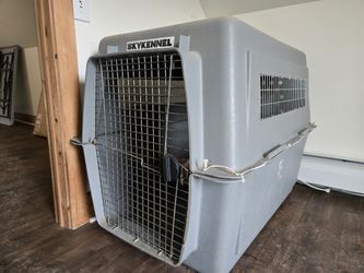 XXL airplane dog crate