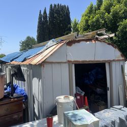 Shed